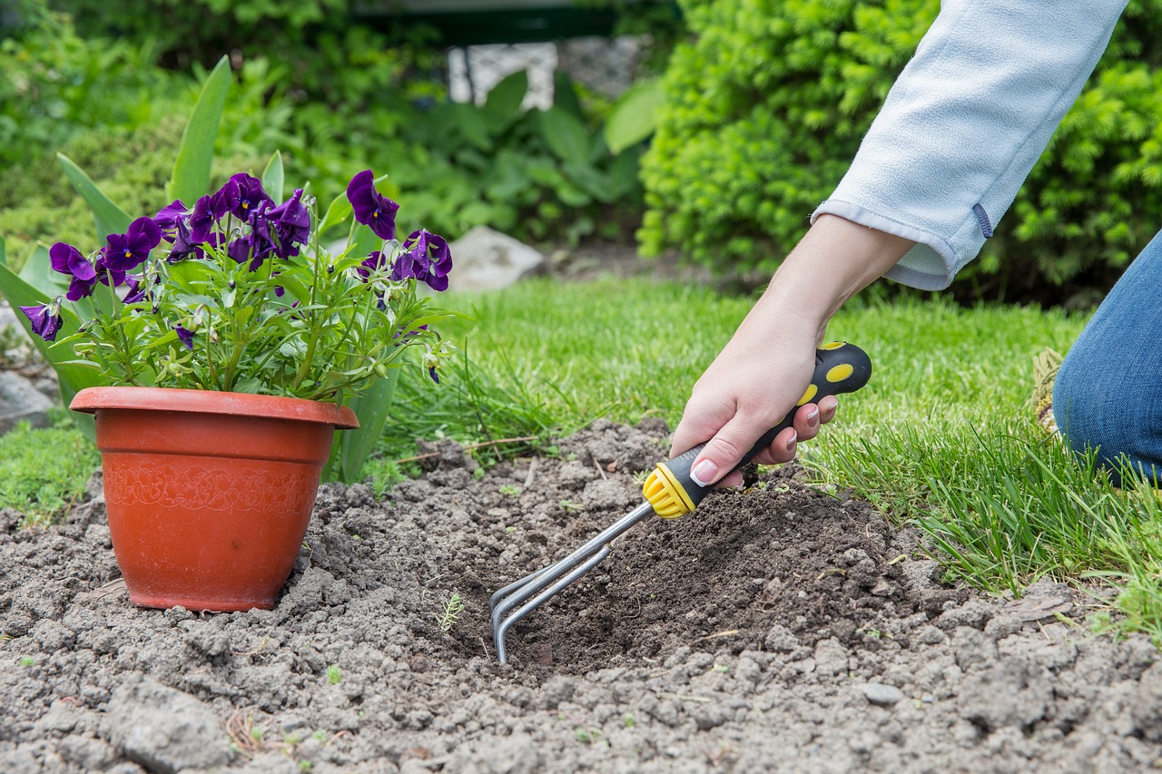 The Impact of Urban Gardens on Food Sustainability